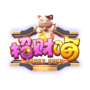 <b>招财喵</b>
